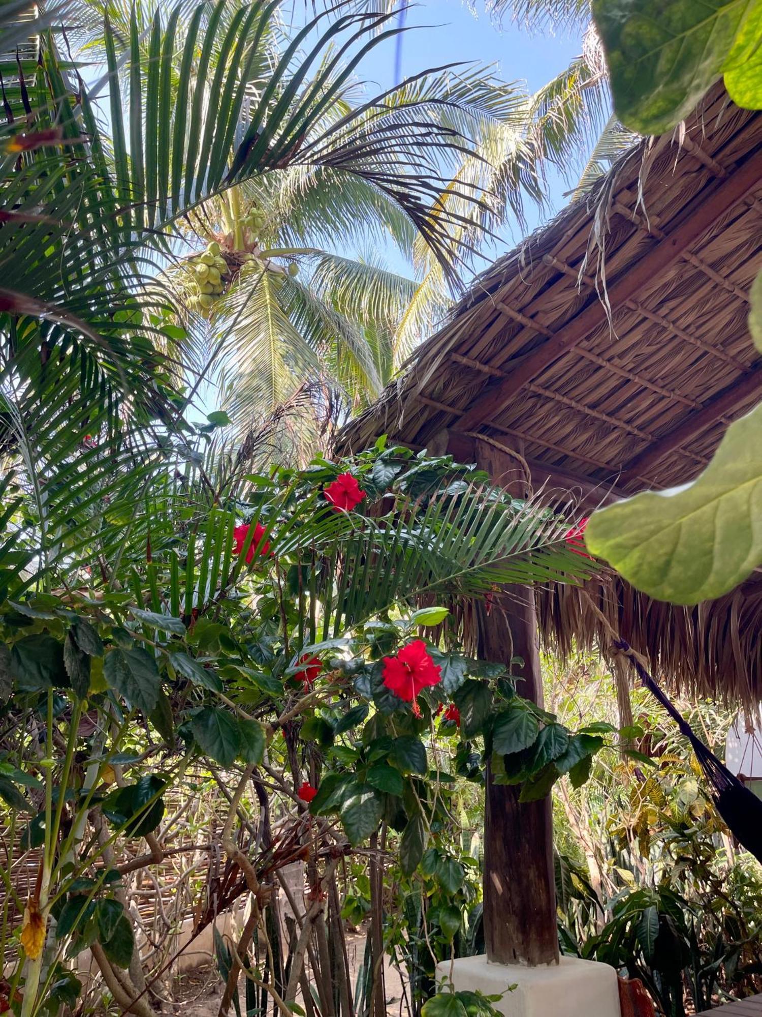 Hotel Descalzo Zipolite Exterior foto